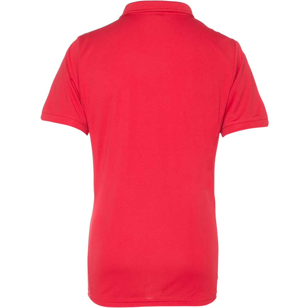 Men Tech Polo